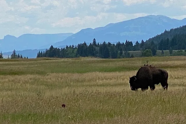 Grand Teton Private Tour - Image 1