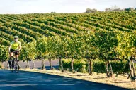 Seattle Wine Tasting Tour in Eastern WA thumbnail 2