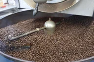 Kona Coffee Farm Tour thumbnail 6
