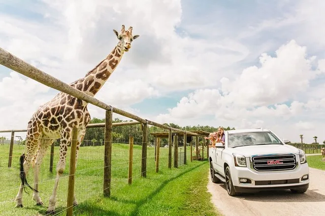 Kenansville Drive-Thru Safari and Gator Park - Image 2