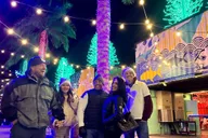 Tampa Christmas Lights Golf Cart Tour thumbnail 5