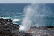 Kauai Private Tour thumbnail 5