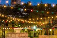 San Antonio Holiday Sights Trolley Tour thumbnail 4