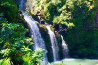 Maui Road to Hana Private Tour thumbnail 3