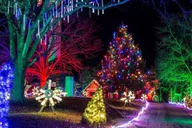 Branson North Pole Adventure Entry Ticket thumbnail 5