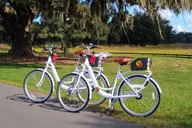 The Villages Bicycle Rental with Free Delivery thumbnail 1
