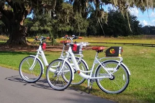 The Villages Bicycle Rental with Free Delivery