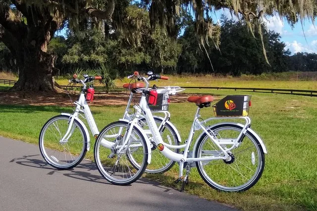 The Villages Bicycle Rental with Free Delivery - Image 1
