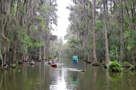 Tavares Paddle Adventure with Ice Cream 2.5 hr thumbnail 2