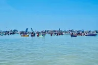 St. Petersburg Island and Sandbar Excursion thumbnail 6