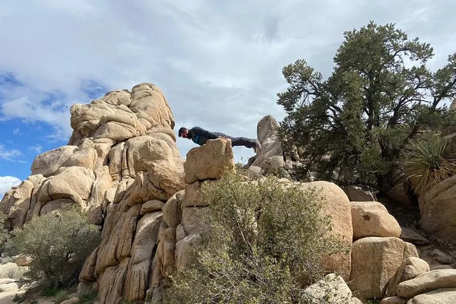 Joshua Tree Scavenger Hunt Adventure - Image 2