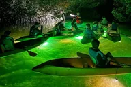 Key West Glass Bottom Kayak Night Tour thumbnail 1