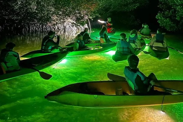 Key West Glass Bottom Kayak Night Tour - Image 1