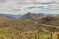 Tucson Saguaro National Park Self-Guided Audio Tour thumbnail 1