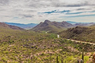 Tucson Saguaro National Park Self-Guided Audio Tour