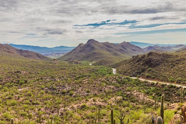 Tucson Saguaro National Park Self-Guided Audio Tour - Image 1
