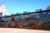 Phoenix Street Art Walking Tour thumbnail 3