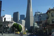 San Francisco Muir Woods and Hop-On Hop-Off Tour thumbnail 6