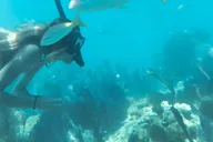 Key West Kayak, Snorkel & Morning Sail thumbnail 6