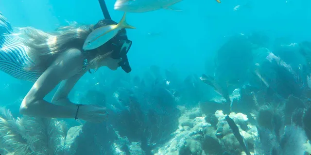 Key West Kayak, Snorkel & Morning Sail - Image 6