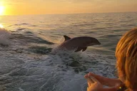 Panama City Dolphin and Sightseeing Tour thumbnail 3