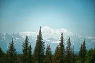 Fairbanks Denali National Park Day Tour thumbnail 5