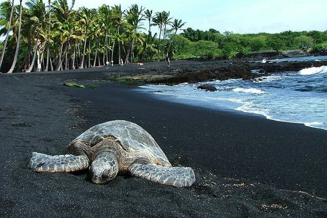 Hawaii Private Island Volcano Tour - Image 6