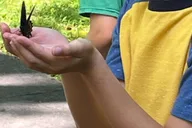Gatlinburg Adventure Hike and Craft for Kids 3 hr thumbnail 1