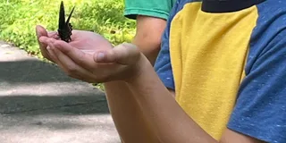Gatlinburg Adventure Hike and Craft for Kids 3 hr