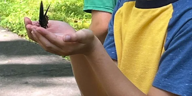 Gatlinburg Adventure Hike and Craft for Kids 3 hr - Image 1