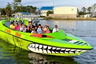 Panama City Dolphin Watching Sunset Cruise thumbnail 3