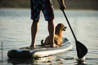 Plymouth Harbor Stand-Up Paddleboard Rental thumbnail 4