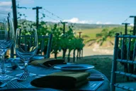 San Francisco Napa Valley Winery Tour thumbnail 5