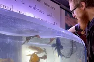 Sitka Aquarium Behind the Scenes Tour thumbnail 2