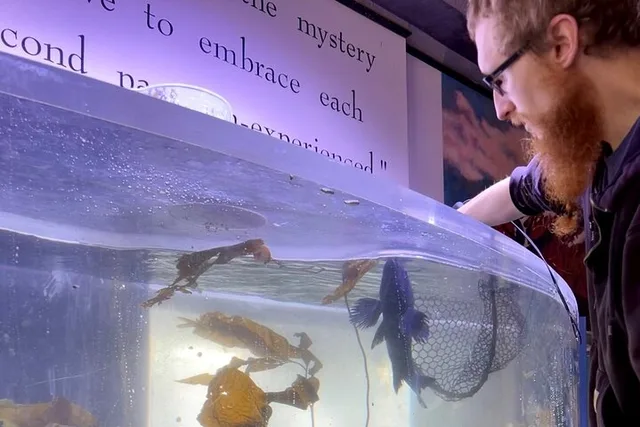 Sitka Aquarium Behind the Scenes Tour - Image 2