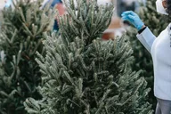 New York City Christmas Lights Private Walking Tour thumbnail 4