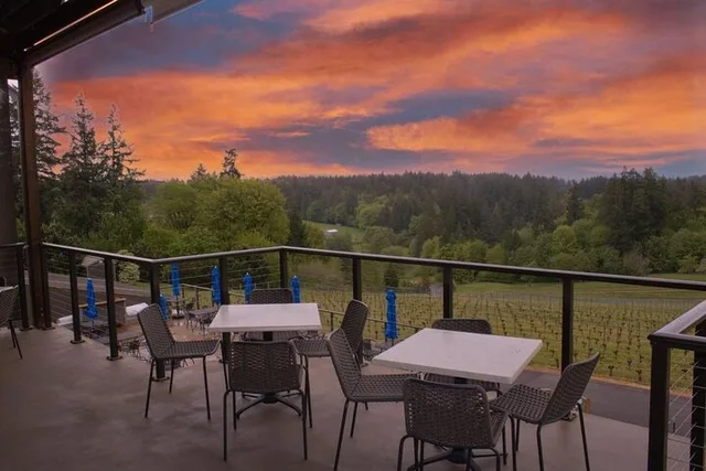 Oregon Wine Tour in Willamette Valley - Image 5