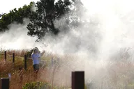 Hilo Kilauea Volcano & Rainbow Falls Tour thumbnail 5