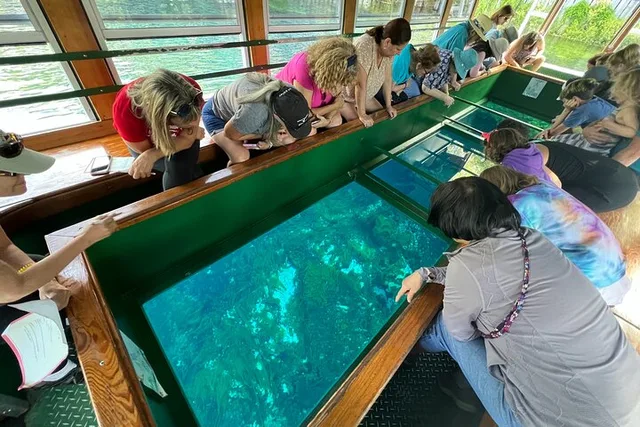 Orlando Silver Springs Kayak and Glass Boat Tour - Image 5