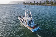 San Diego Whale Watching Tour thumbnail 2
