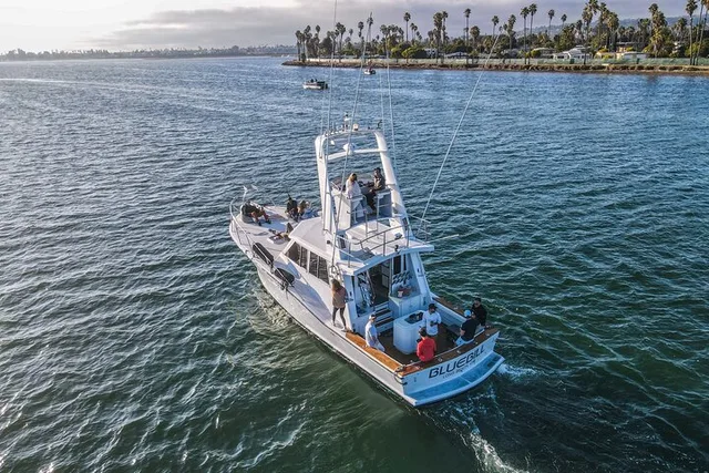 San Diego Whale Watching Tour - Image 2