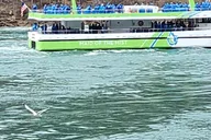 Niagara Falls Maid of the Mist Boat Tour thumbnail 2
