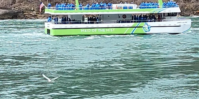 Niagara Falls Maid of the Mist Boat Tour - Image 2