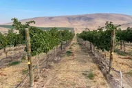 Woodinville Wine Tasting Pass thumbnail 6