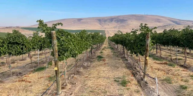 Woodinville Wine Tasting Pass - Image 6