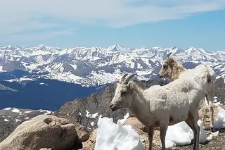 Denver Summit and Glacial Lakes Tour