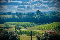 Asheville Private Wine Tour thumbnail 1