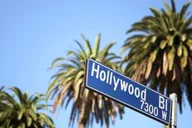 Los Angeles Private Transfer to Hollywood thumbnail 6