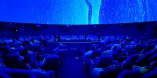 Tampa Ocean Sounds Immersive Experience 1 hr
