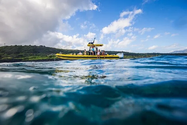 Oahu Shark-Dive Tour North Shore 2 hr - Image 6